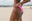 Take your Booty to Your Favorite Summer Destinations in 2021